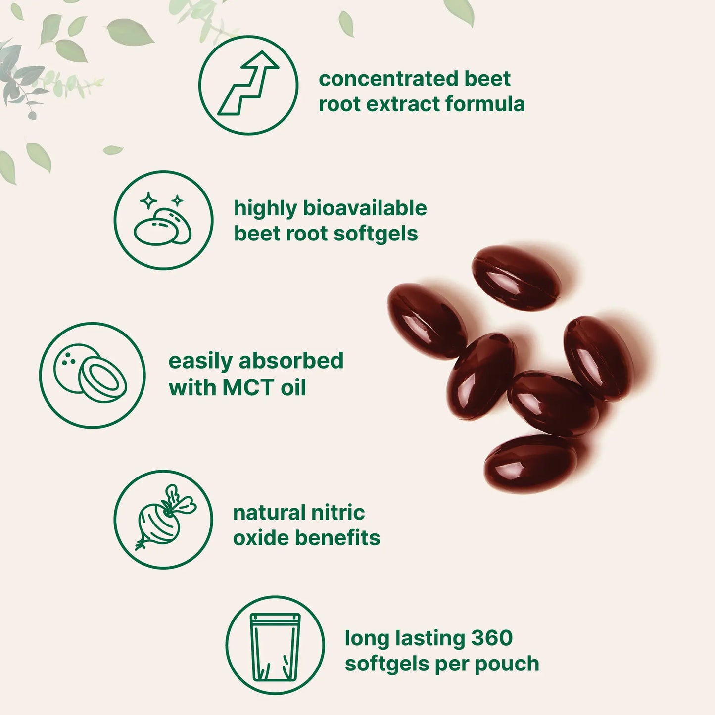 Beet Root with MCT Oil, Highly Bioavailable