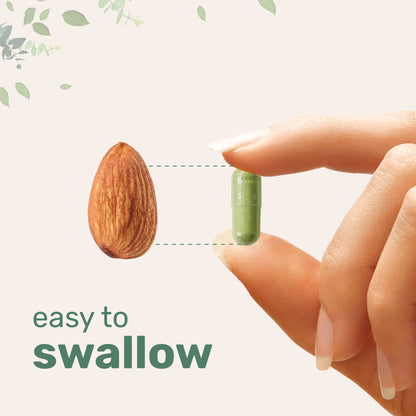 Moringa Oleifera 6,000mg Equivalent, Supergreens Blend of Wheatgrass, Barley Grass, Spirulina, & Chlorella