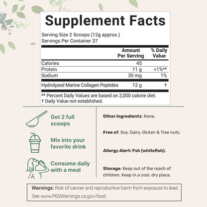 Marine Collagen Protein Powder