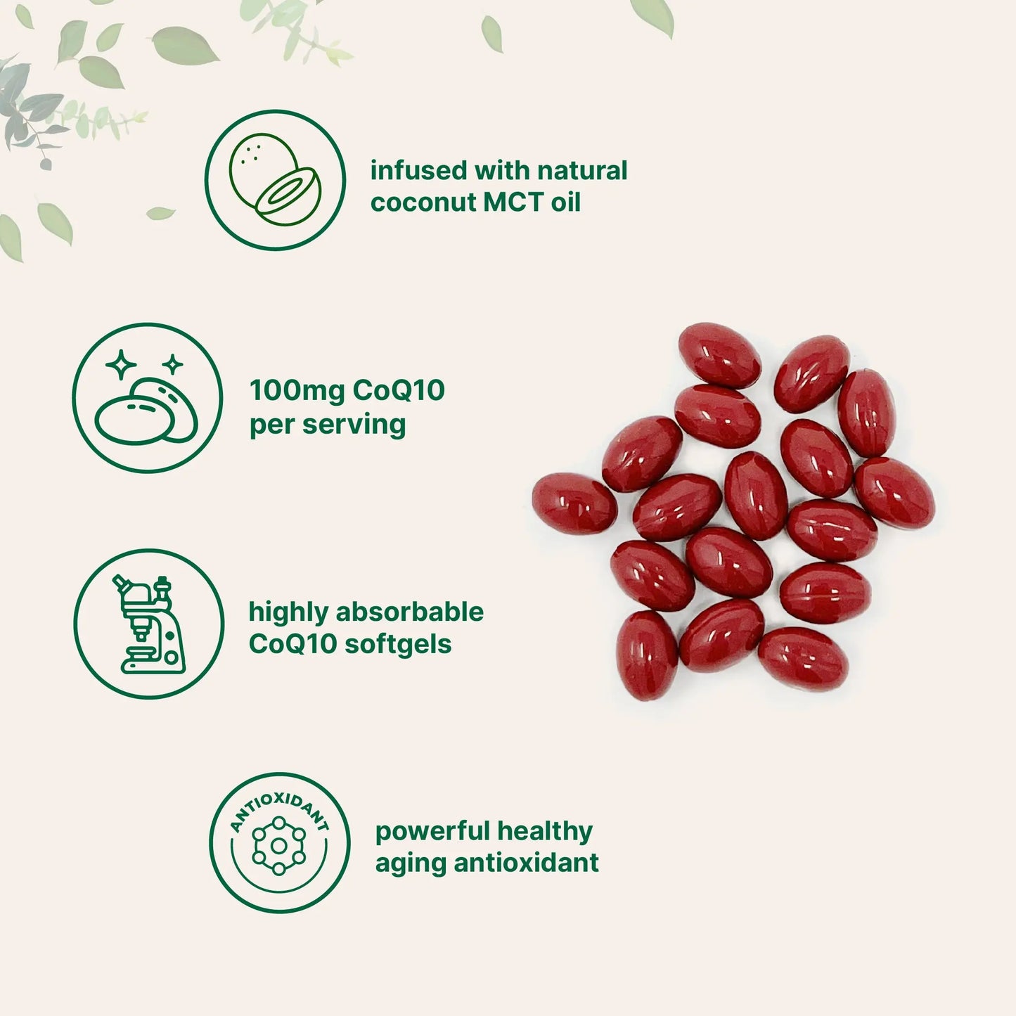 CoQ10 with Coconut MCT Oil