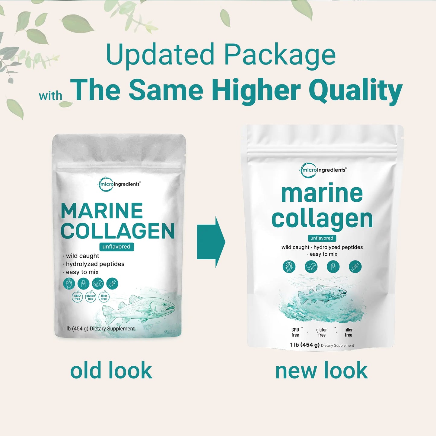 Marine Collagen Protein Powder