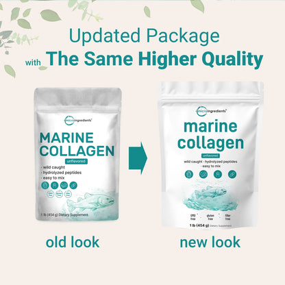 Marine Collagen Protein Powder